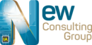 New Consulting Group